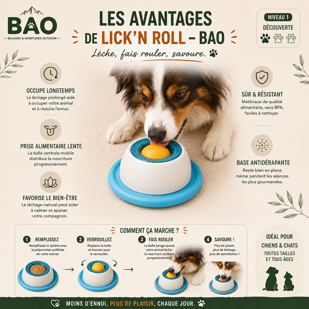 Lick'N Roll – BAO