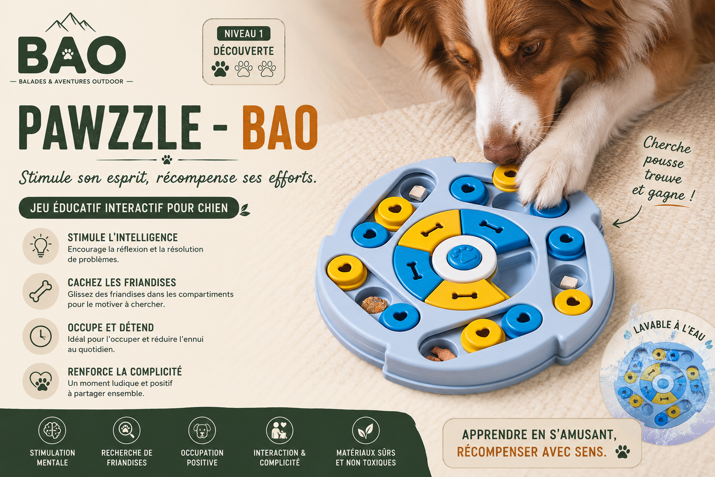 Brain Quest - BAO