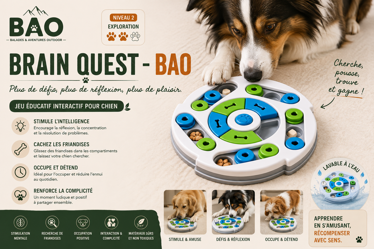 Brain Quest - BAO