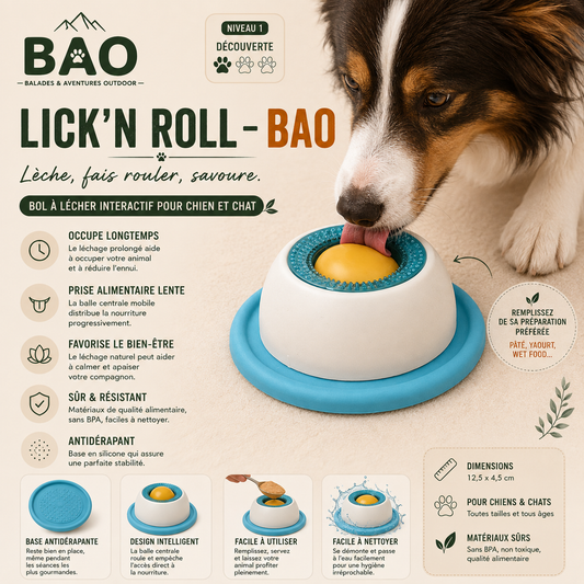 Lick'N Roll – BAO