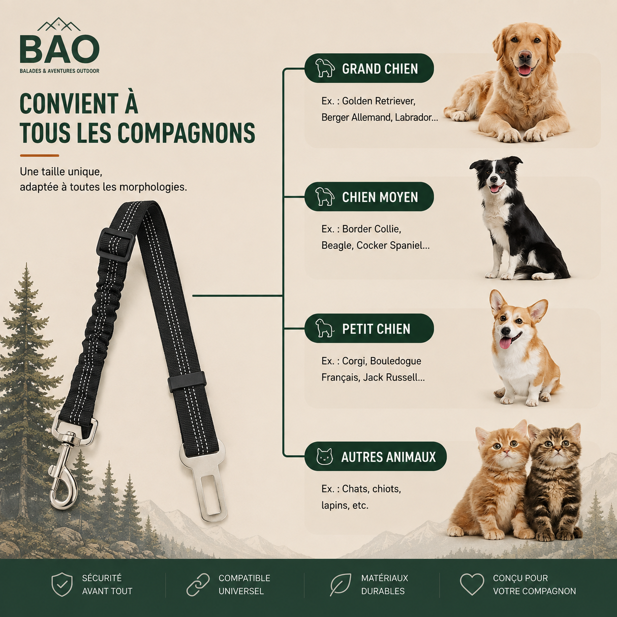 RoadSafe - BAO